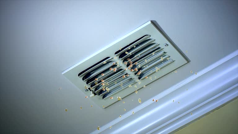 Best Emergency Air Duct Cleaning  in Sho Creek, AL