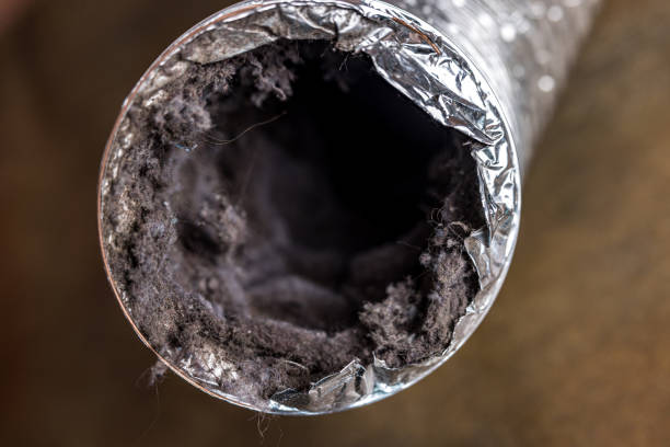 Best Professional Duct Cleaning Services  in Sho Creek, AL